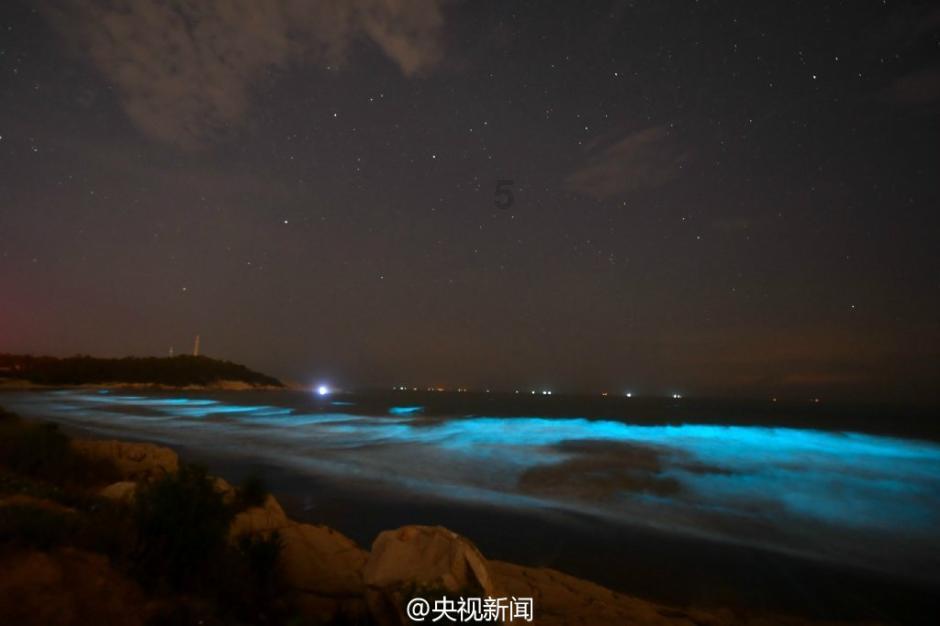 时尚的詹娜